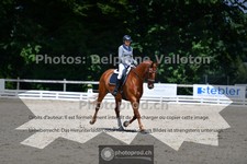 ref. photo 3693169