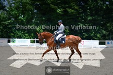 ref. photo 3693186