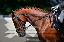 ref. photo 3693192