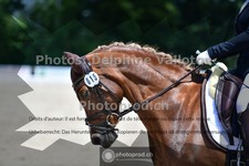 ref. photo 3693279
