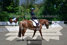ref. photo 3693280