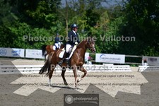 ref. photo 3693287