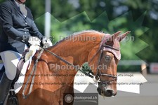 ref. photo 3693309