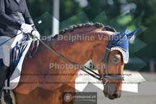 ref. photo 3693322