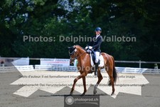 ref. photo 3693409