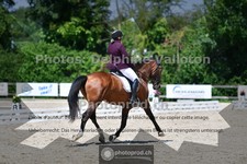 ref. photo 3693434