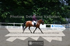 ref. photo 3693438