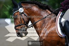ref. photo 3693443