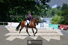 ref. photo 3693455
