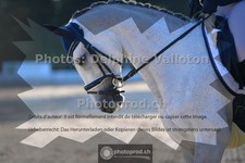 ref. photo 3693493