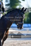 ref. photo 3693543
