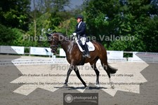 ref. photo 3693617