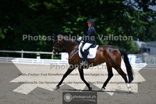ref. photo 3693626