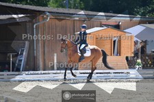 ref. photo 3693702