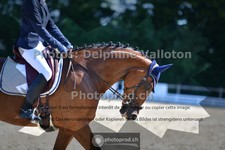 ref. photo 3693779