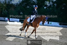 ref. photo 3693885