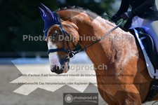 ref. photo 3693904