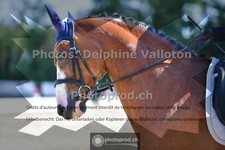 ref. photo 3693912