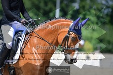 ref. photo 3693932