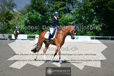 ref. photo 3693934