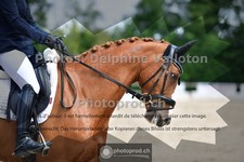 ref. photo 3694031