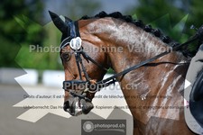 ref. photo 3694074