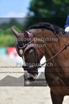 ref. photo 3694134