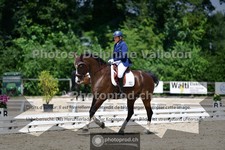 ref. photo 3694136