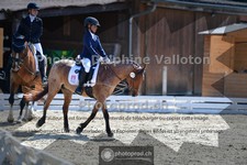 ref. photo 3694210