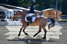 ref. photo 3694222