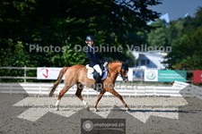 ref. photo 3694246