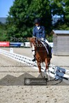 ref. photo 3694322