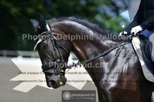 ref. photo 3694411