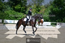 ref. photo 3694419