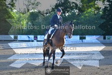 ref. photo 3694448