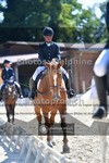 ref. photo 3694538