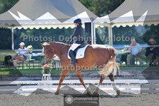 ref. photo 3694545