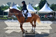 ref. photo 3694560