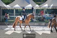 ref. photo 3694564