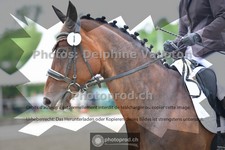 ref. photo 3700338