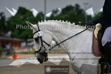 ref. photo 3700534