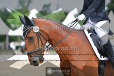 ref. photo 3700750