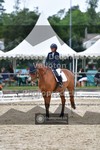 ref. photo 3700812