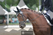 ref. photo 3700937