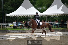 ref. photo 3700962