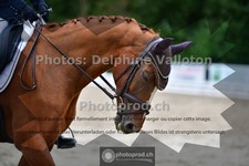 ref. photo 3700980