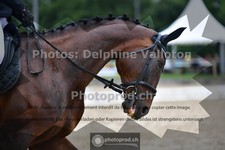 ref. photo 3701021