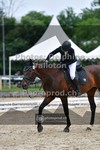 ref. photo 3701052