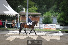 ref. photo 3701119