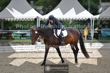 ref. photo 3701125